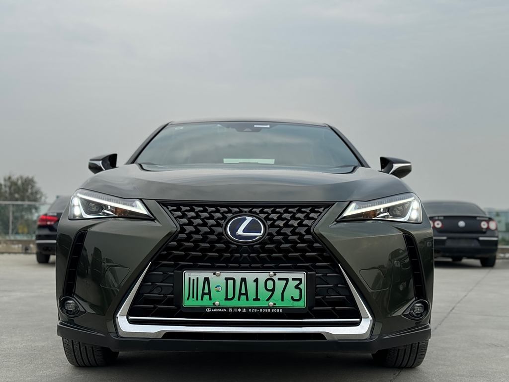 Lexus UX 2020 300e ·