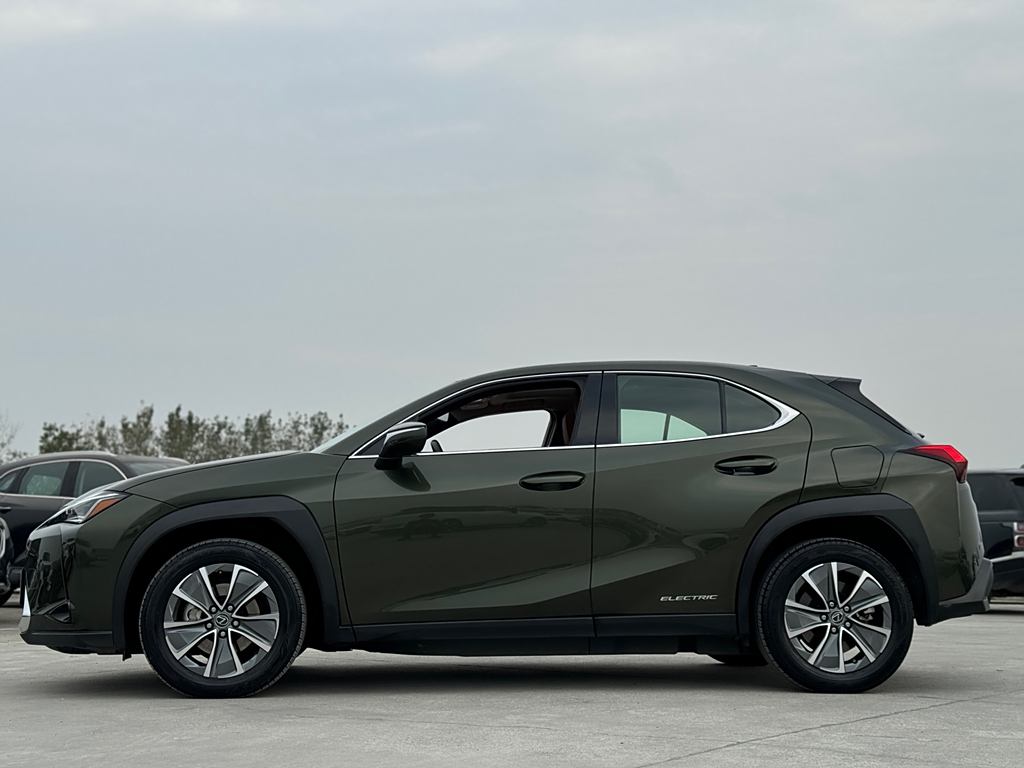 Lexus UX 2020 300e ·