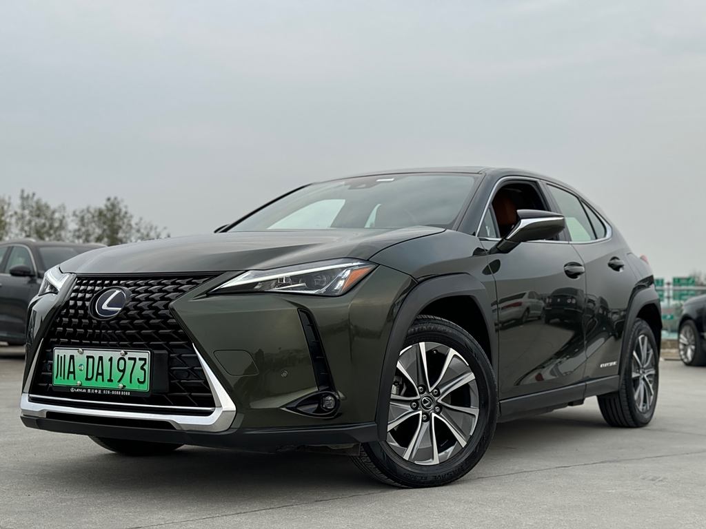 Lexus UX 2020 300e ·