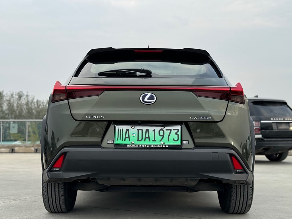 Lexus UX 2020 300e ·