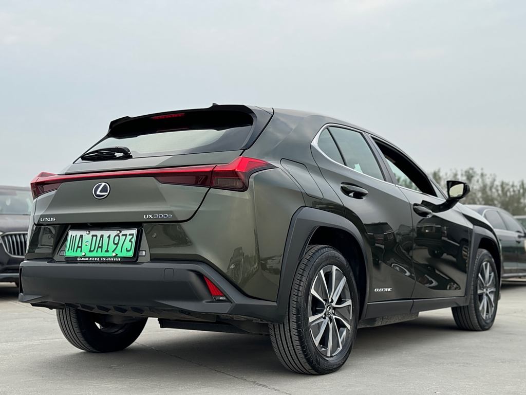 Lexus UX 2020 300e ·