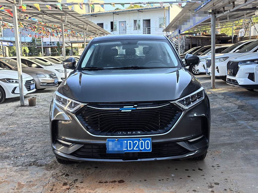 Changan Oshan X7 2020 1.5T Ручная Luxury