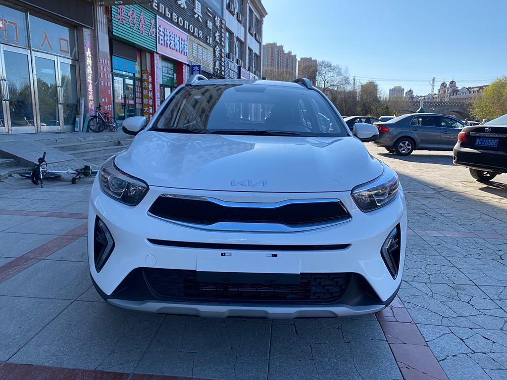 Chery Yipao 2021 1.4L Автоматическая