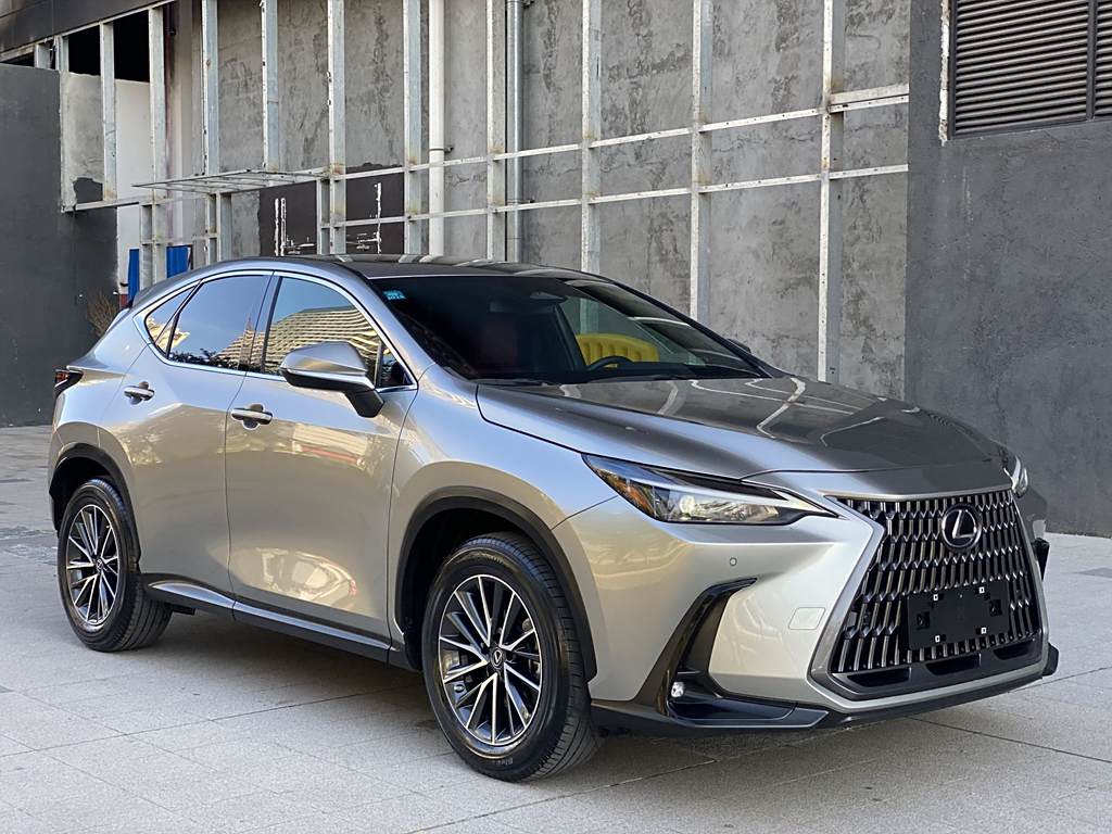 Lexus NX 2023 260