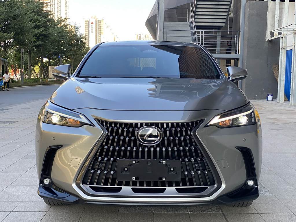 Lexus NX 2023 260