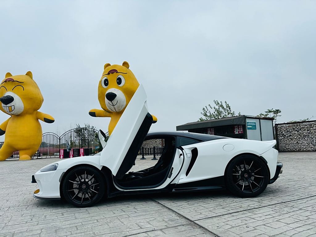 McLaren GT 2019 4.0T