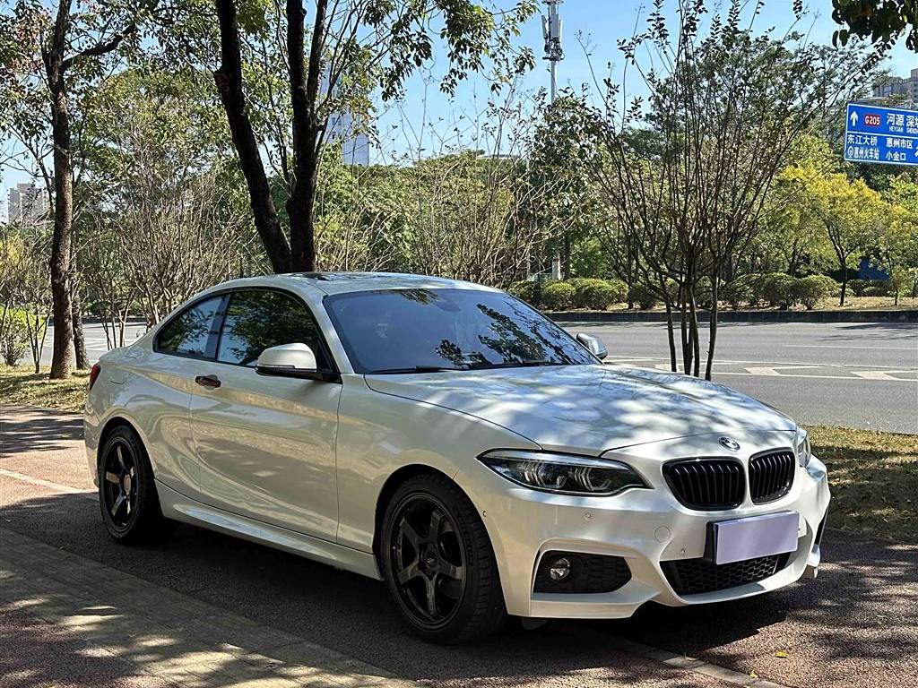 BMW 2 Series 2019 225i M Sport Package