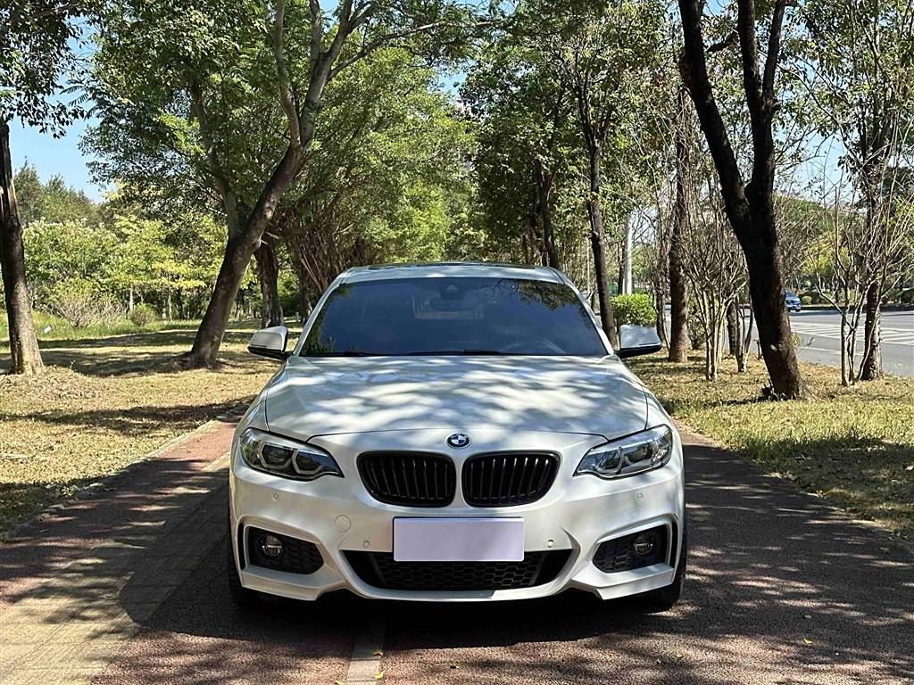 BMW 2 Series 2019 225i M Sport Package