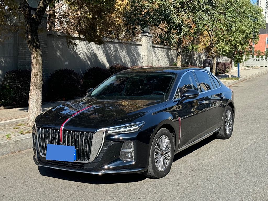 Hongqi H5 2023 2.0T Автоматическая