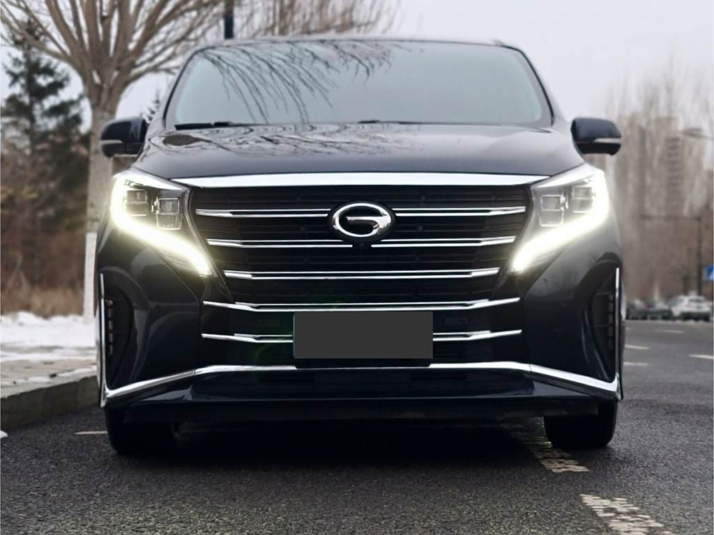 GAC Trumpchi M8 2023  Series 390T