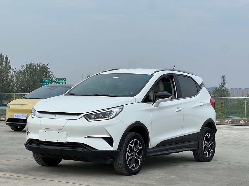 BYD Yuan Pro 2021 401KM  Luxury