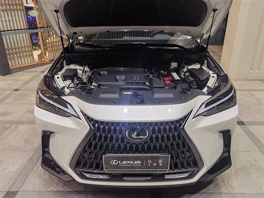 Lexus NX 2022 260