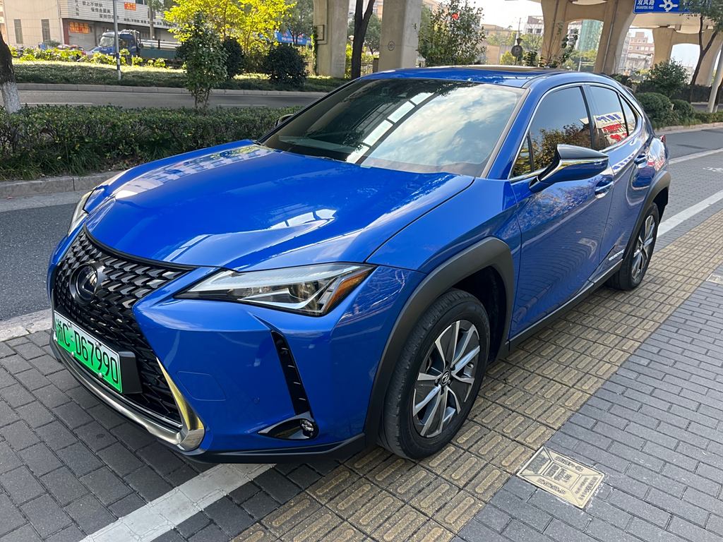 Lexus UX 2020 300e ·