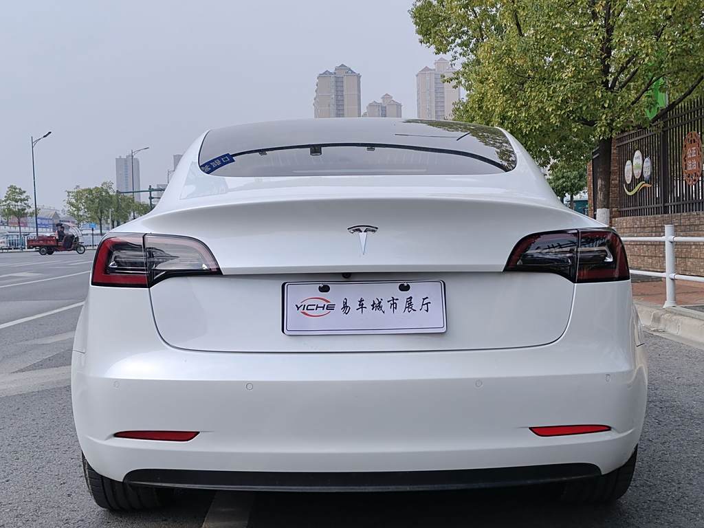 Tesla Model 3 2020