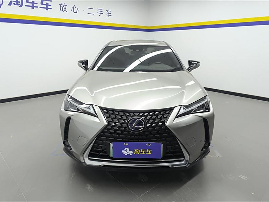 Lexus UX 2020 300e ·