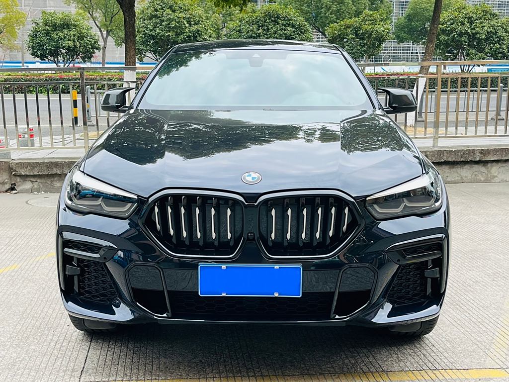 BMW X6 2022 xDrive30i M Sport Package