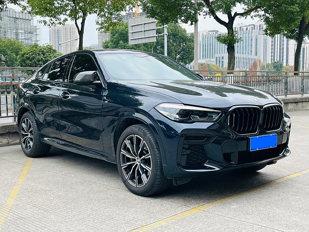 BMW X6 2022 xDrive30i M Sport Package