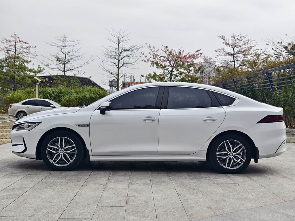 BYD Qin PLUS 2021 EV 500KM Luxury