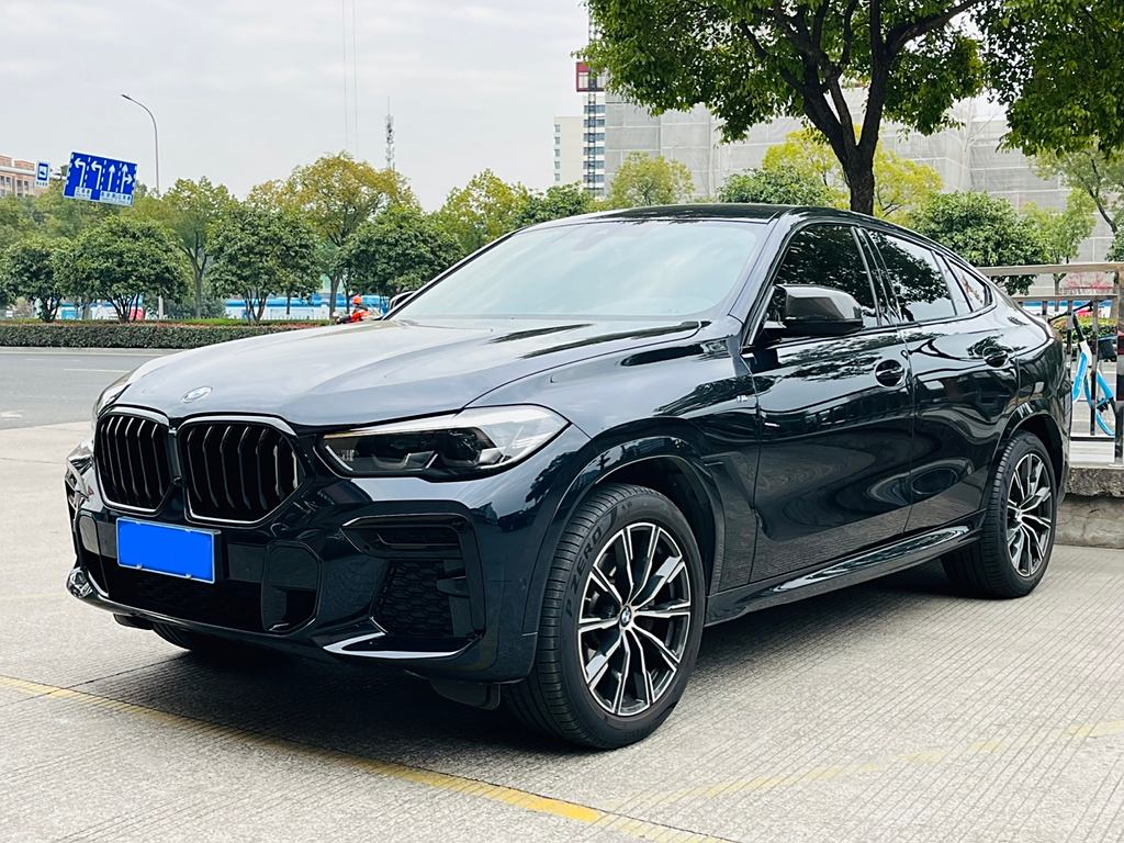 BMW X6 2022 xDrive30i M Sport Package