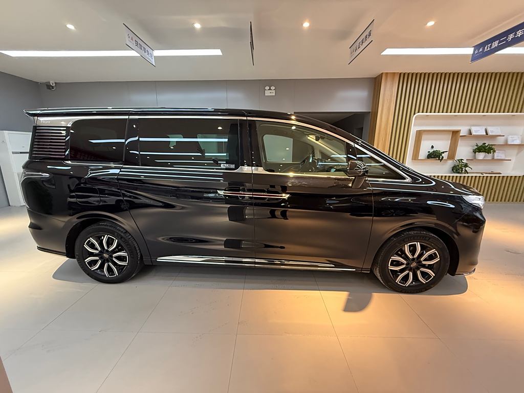 Hongqi HQ9 2023 2.0T