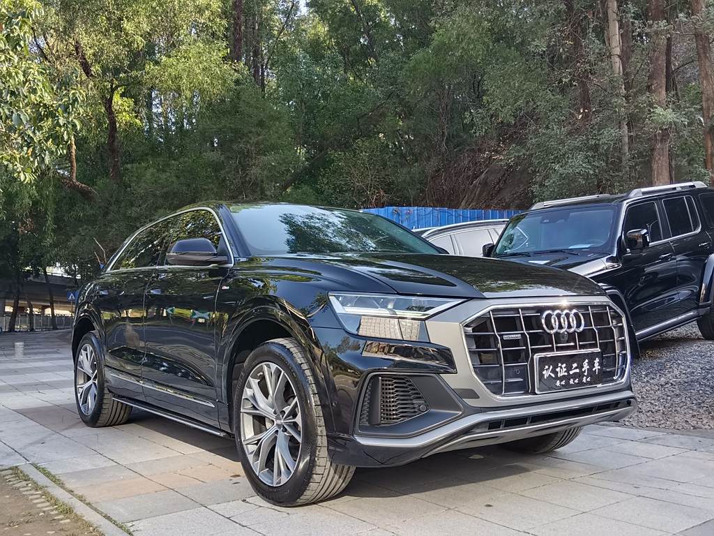 Audi Q8 2021 55 TFSI