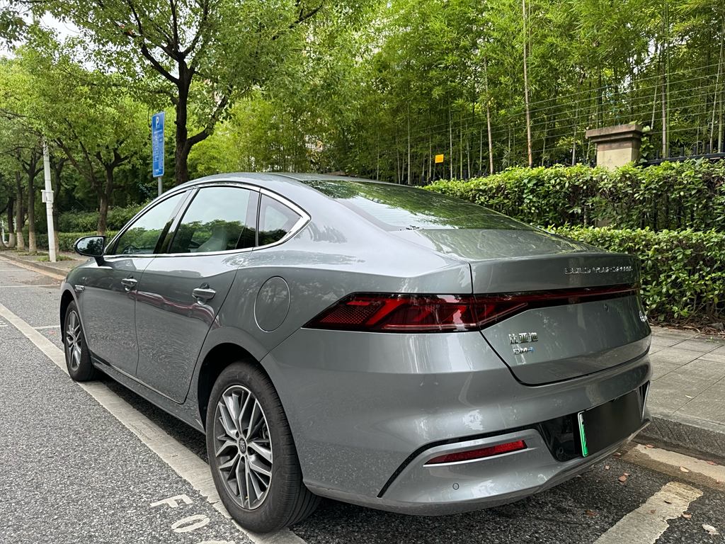 BYD Qin PLUS 2024  DM-i 55KM