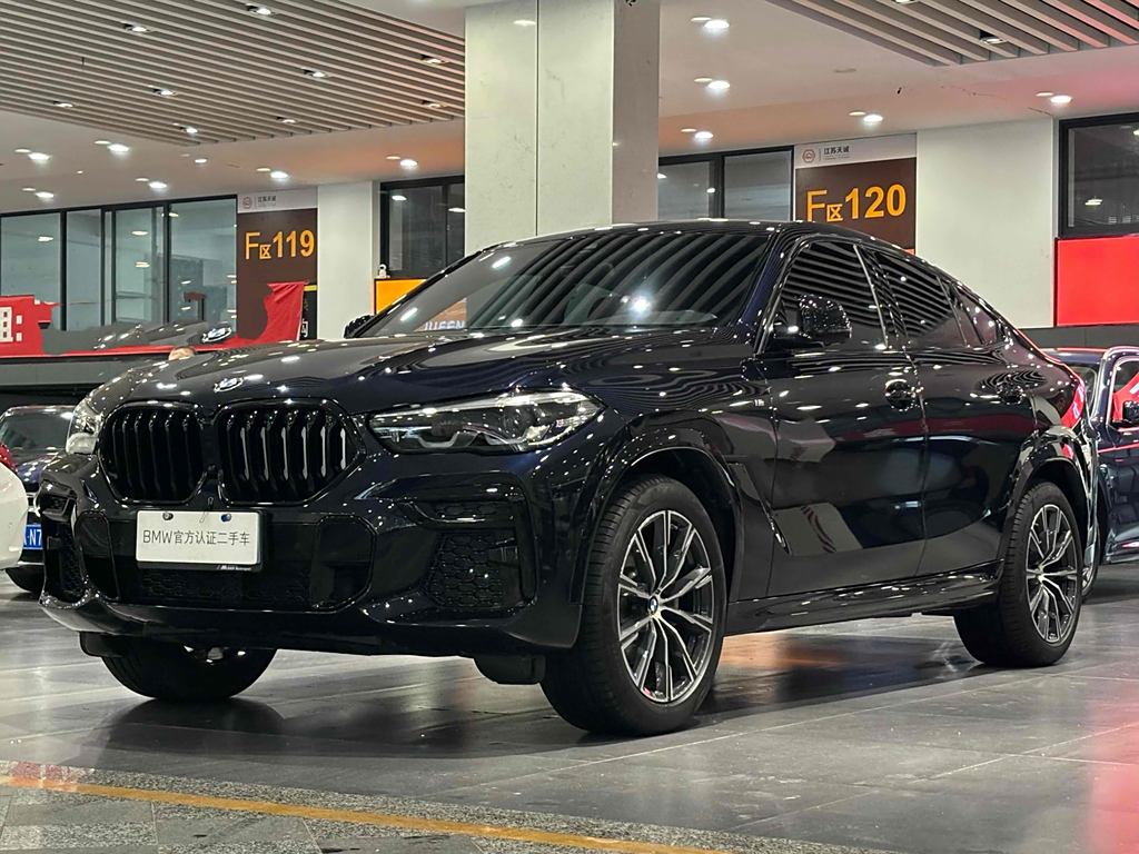 BMW X6 2022 xDrive30i M Sport Package