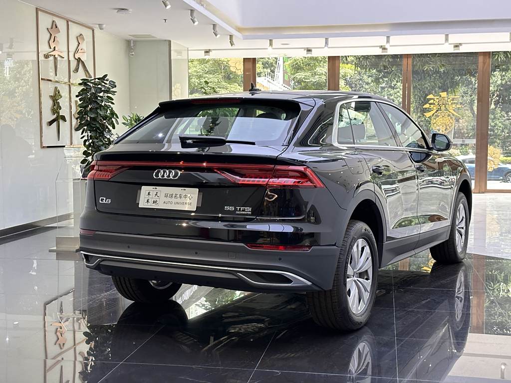 Audi Q8 2023 55 TFSI