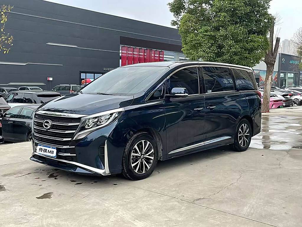 GAC Trumpchi M8 2021  Series 390T