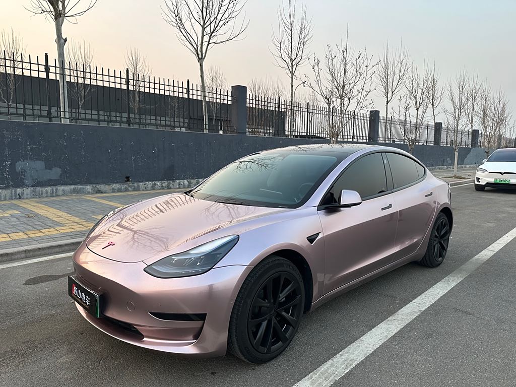 Tesla Model 3 2022