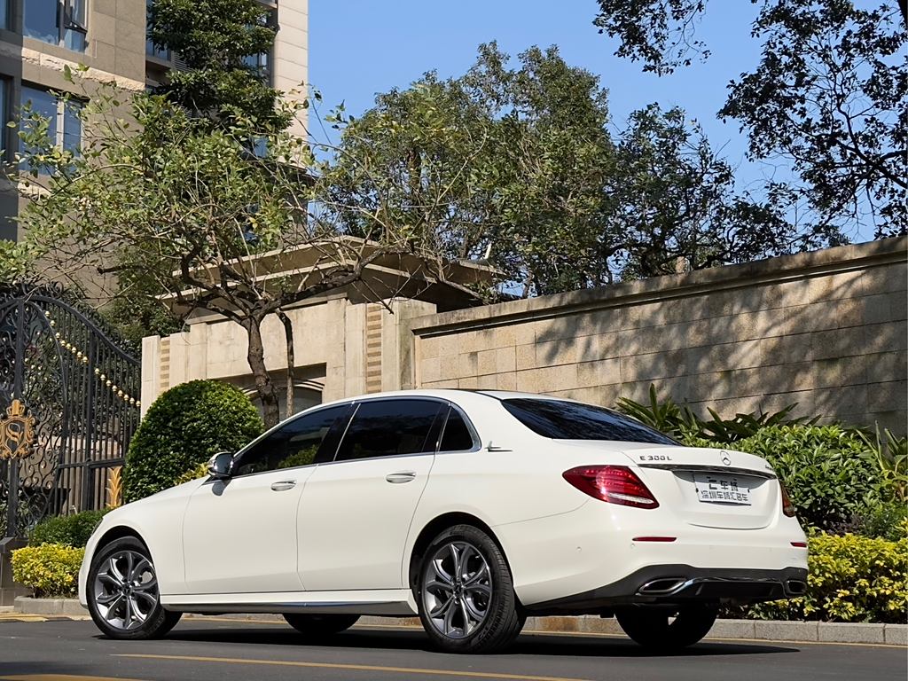 Mercedes-Benz E-Class 2020 E 300 L