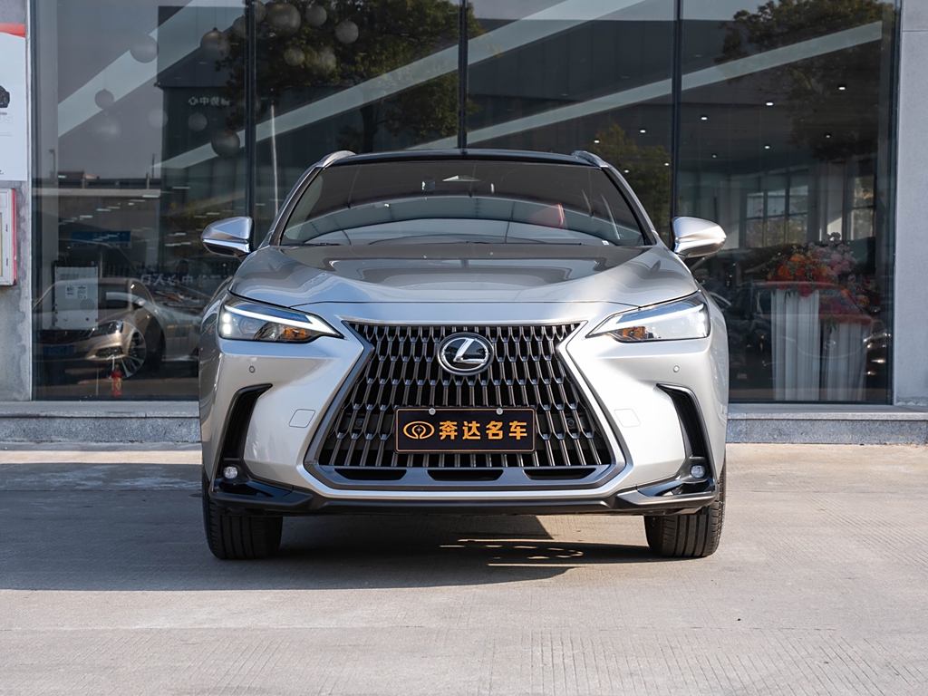 Lexus NX 2023 260