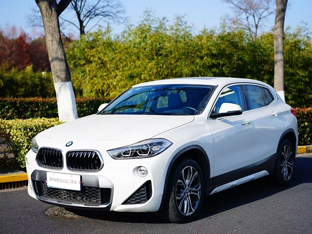 BMW X2 2019 sDrive25i M  Euro VI