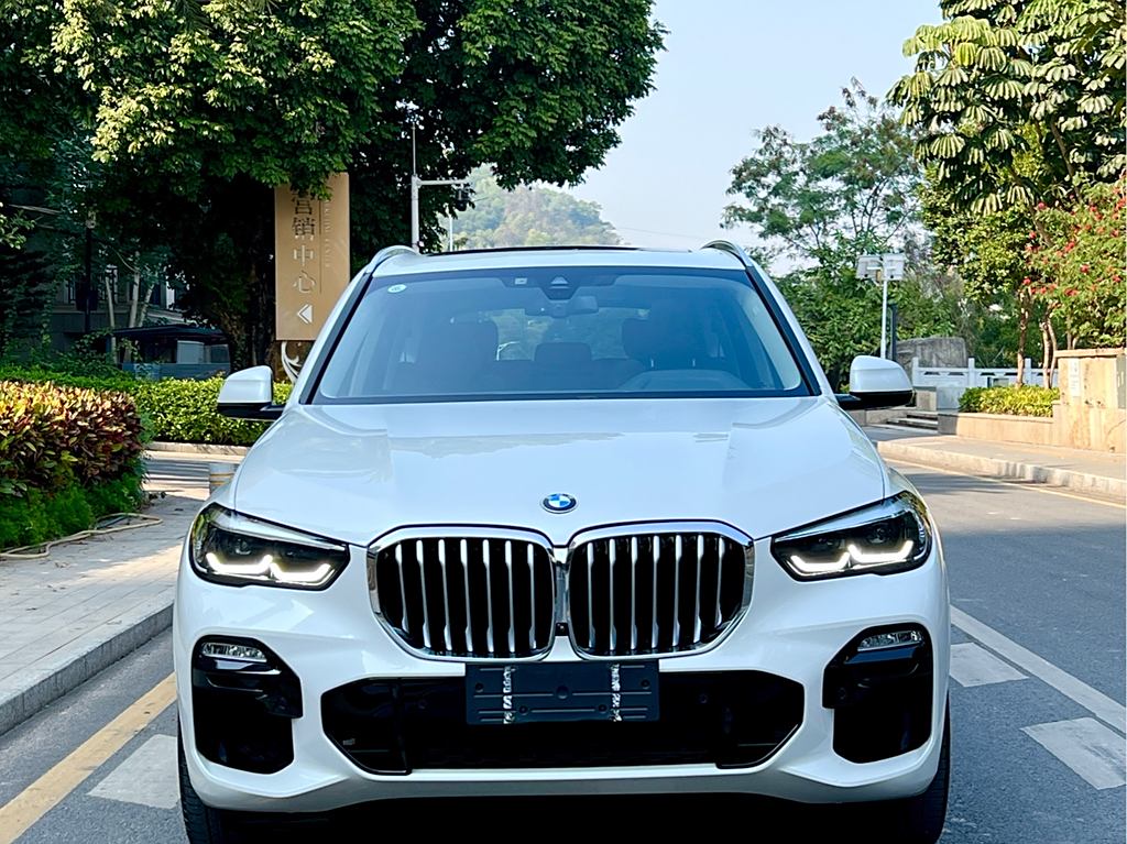 BMW X5 2020 xDrive30i M Sport Package