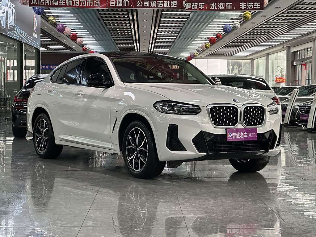 BMW X4 2022 xDrive 25i M Sport Package