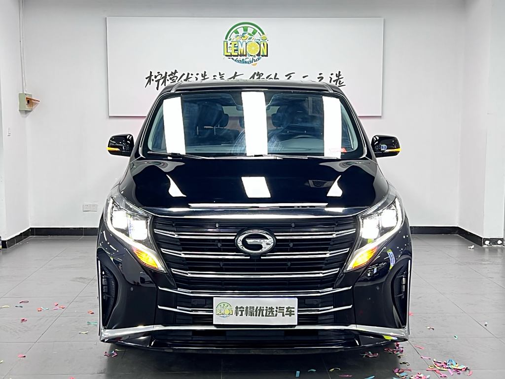 GAC Trumpchi M8 2021  Series 390T