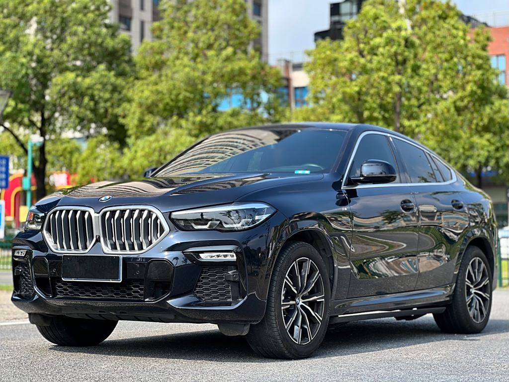 BMW X6 2021 xDrive30i M Sport Package