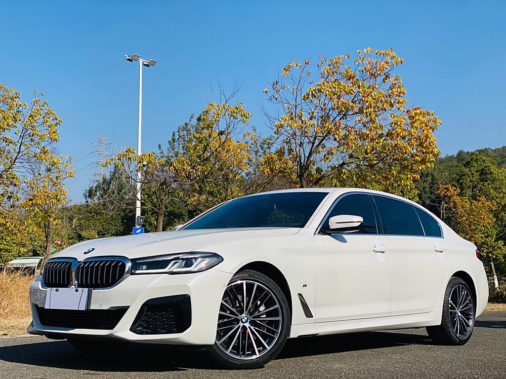 BMW 5 Series 2021 530Li  M Sport Package