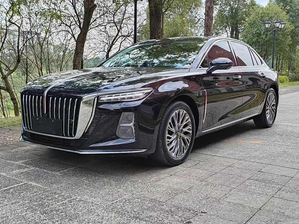 Hongqi H5 2023 2.0T Автоматическая