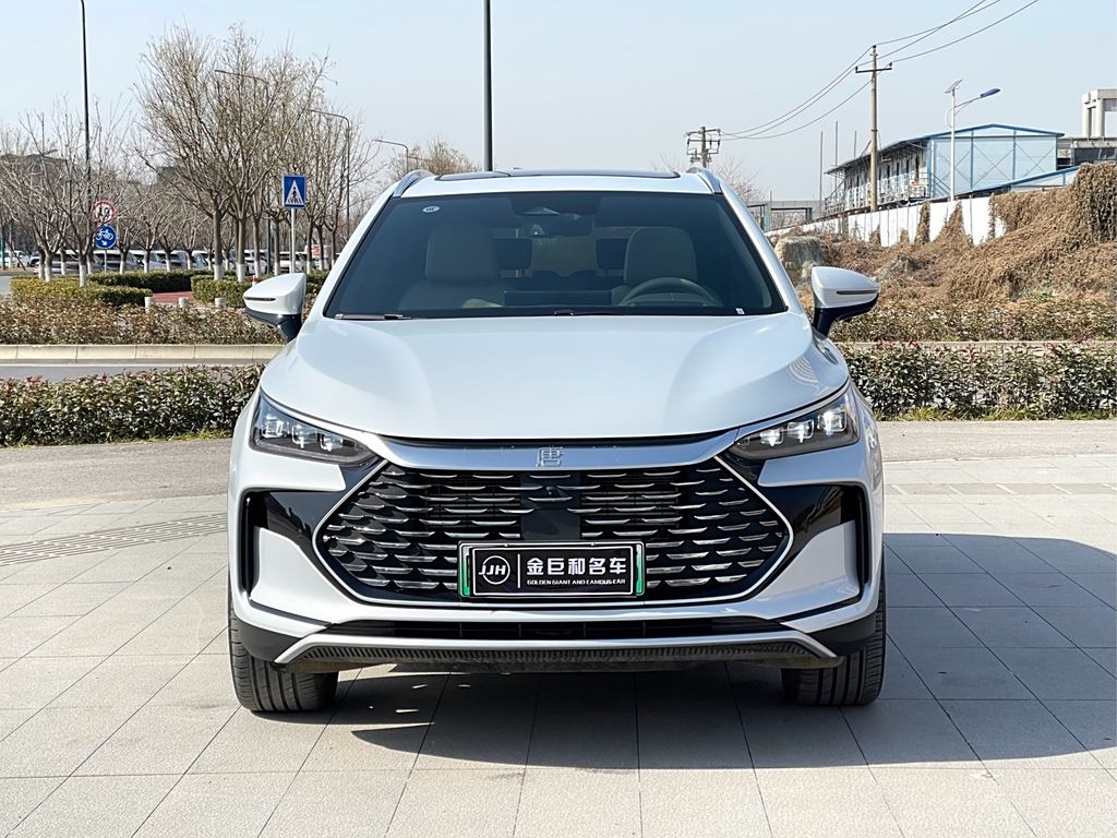 BYD Tang EV 2024 DM-i  112KM