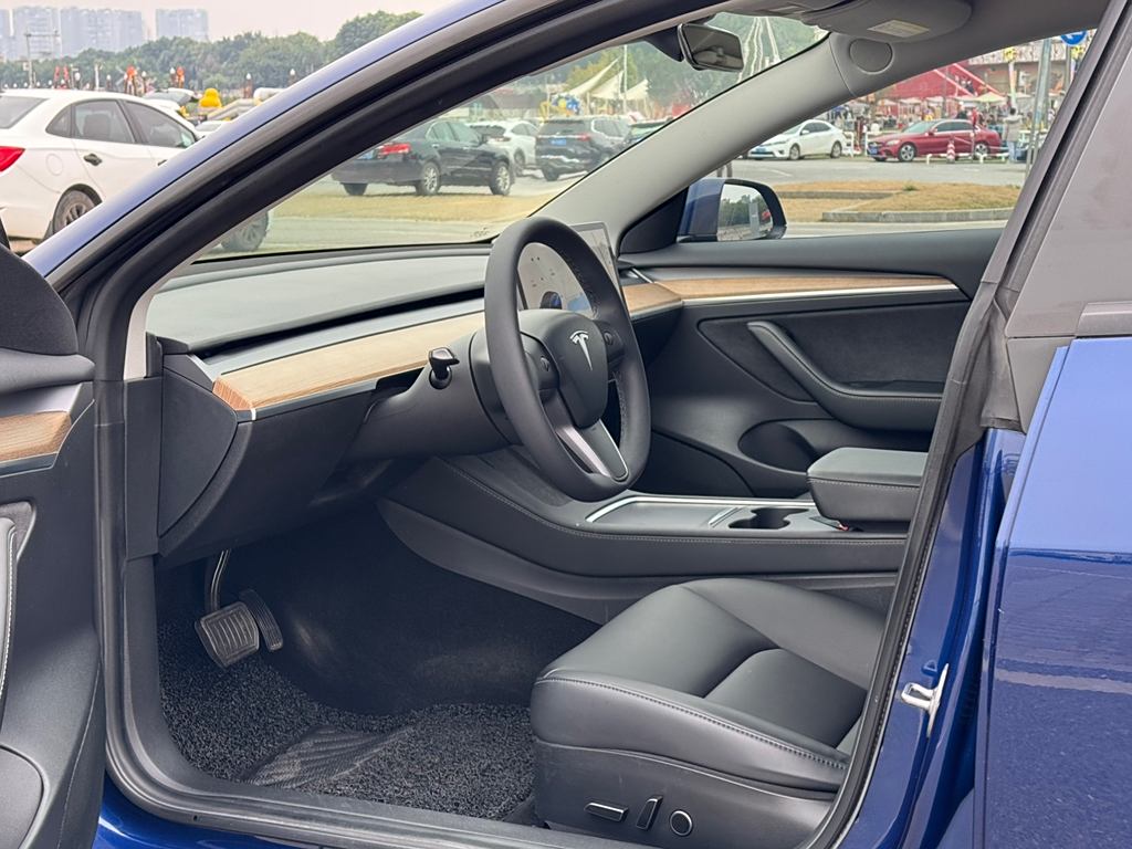 Tesla Model 3 2021  3D6