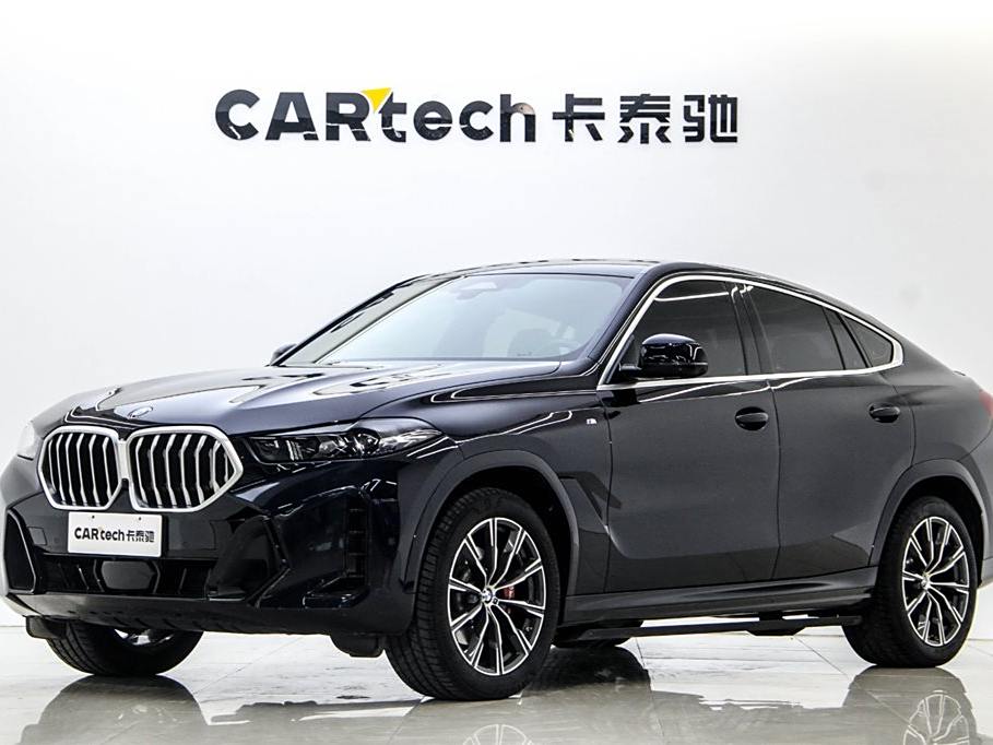 BMW X6 2023 xDrive30i M Sport Package