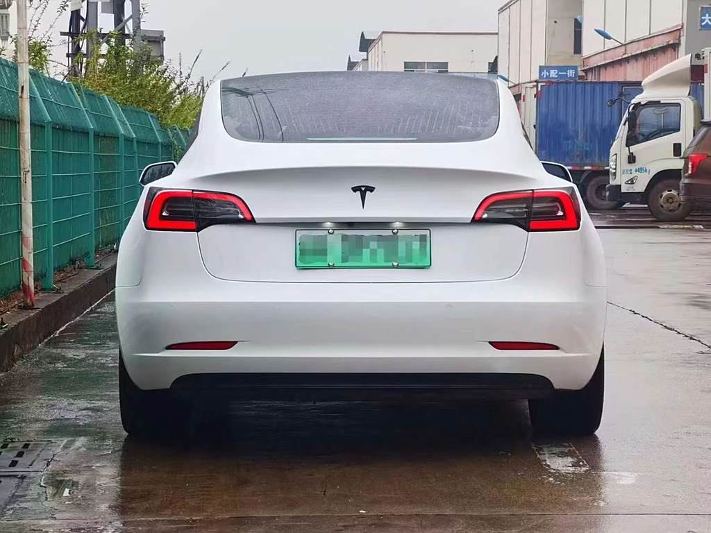 Tesla Model 3 2019