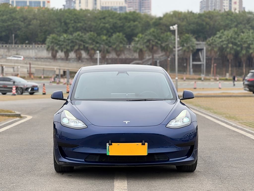 Tesla Model 3 2021  3D6