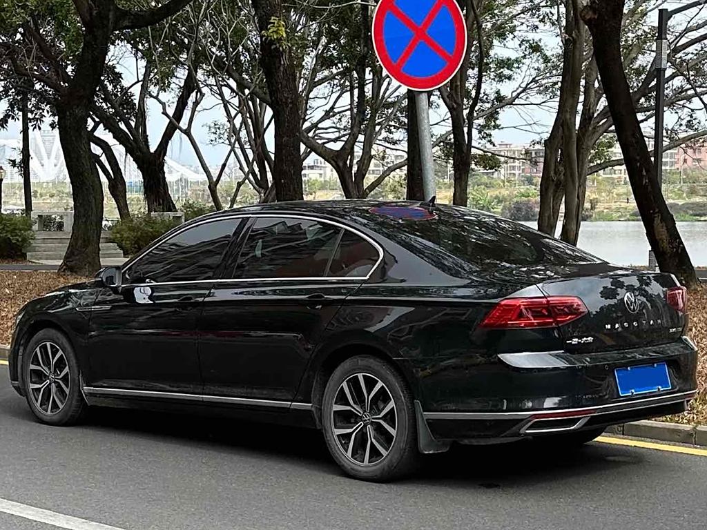 Volkswagen Magotan 2020 330TSI DSG