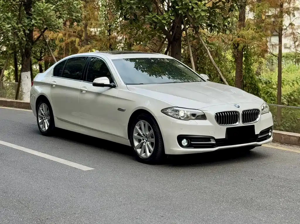 BMW 5 Series 2014 530Li Leading Edition