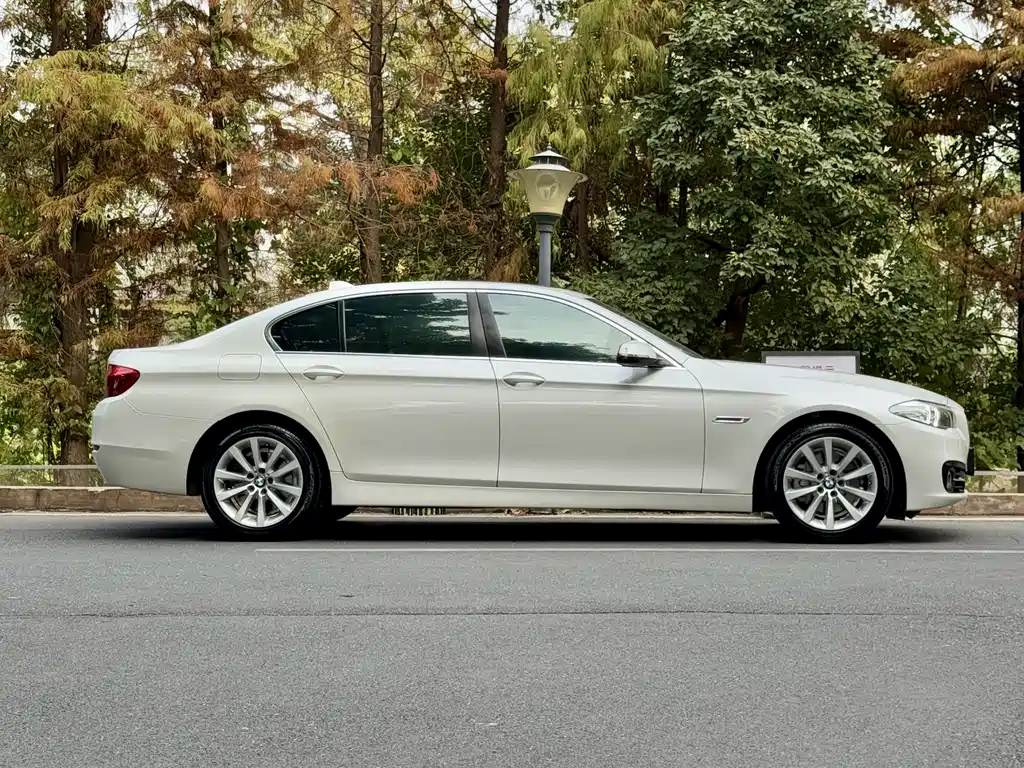 BMW 5 Series 2014 530Li Leading Edition