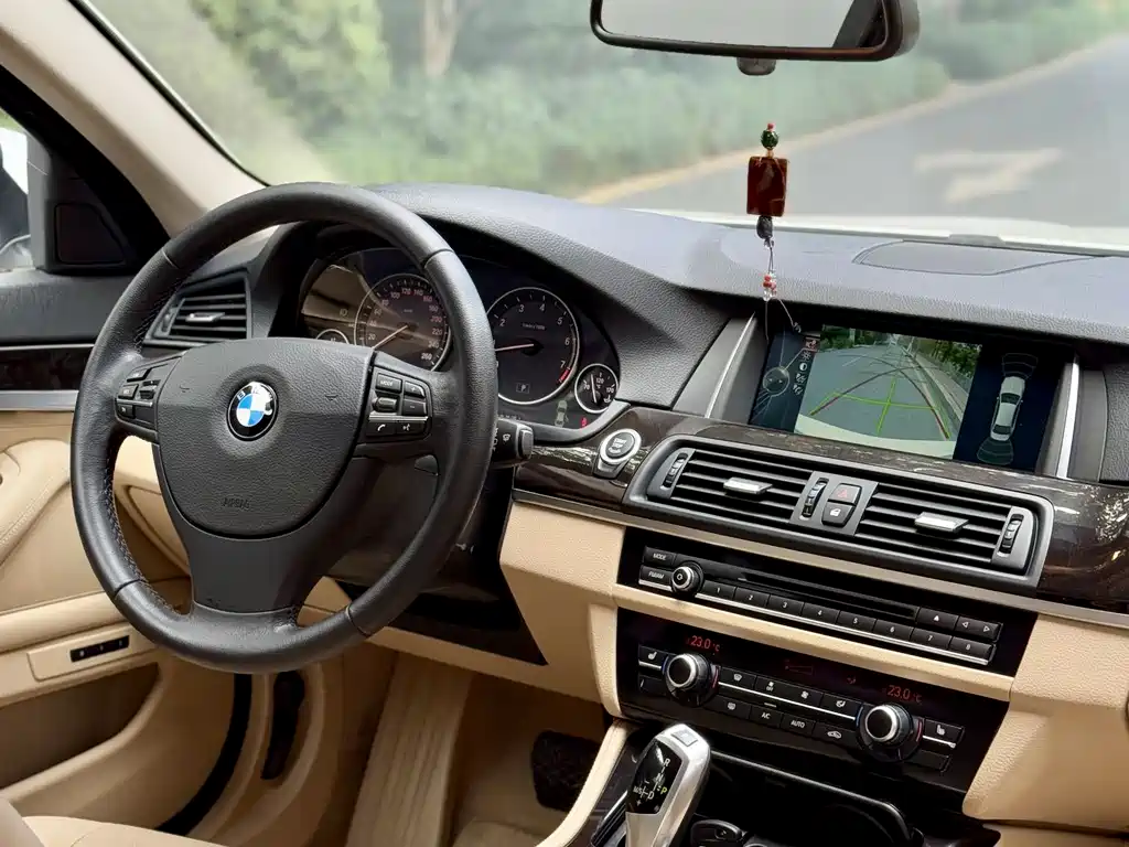 BMW 5 Series 2014 530Li Leading Edition
