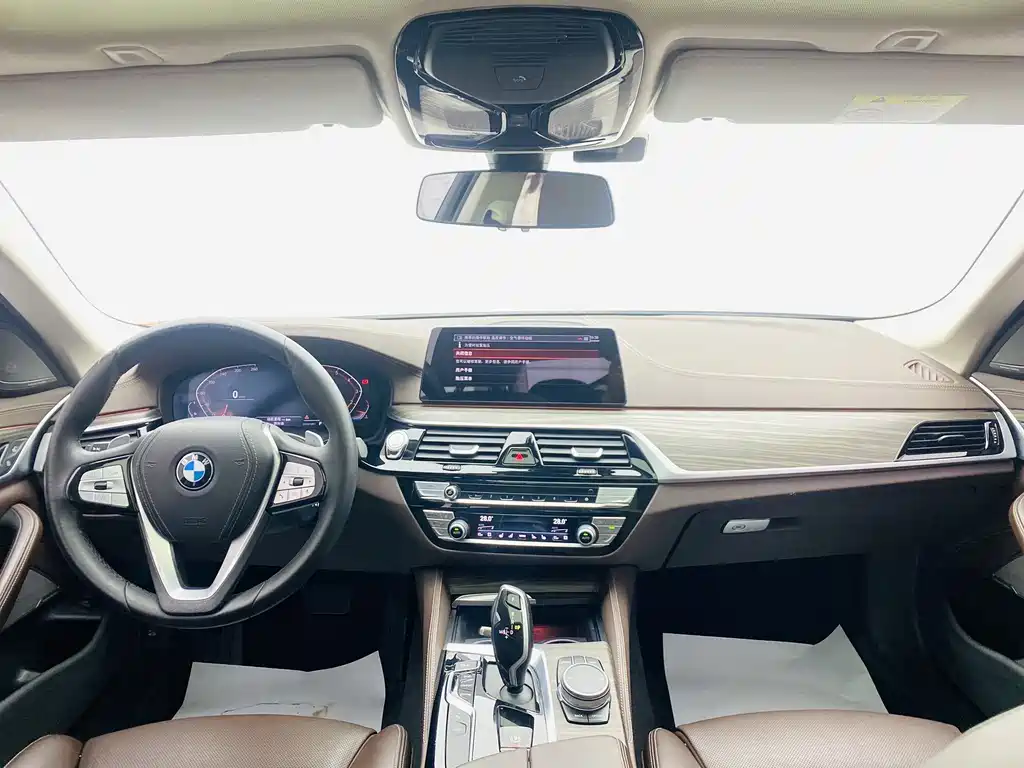 2020 BMW 5 Series 530Li Exclusive Luxury Line - фото 8