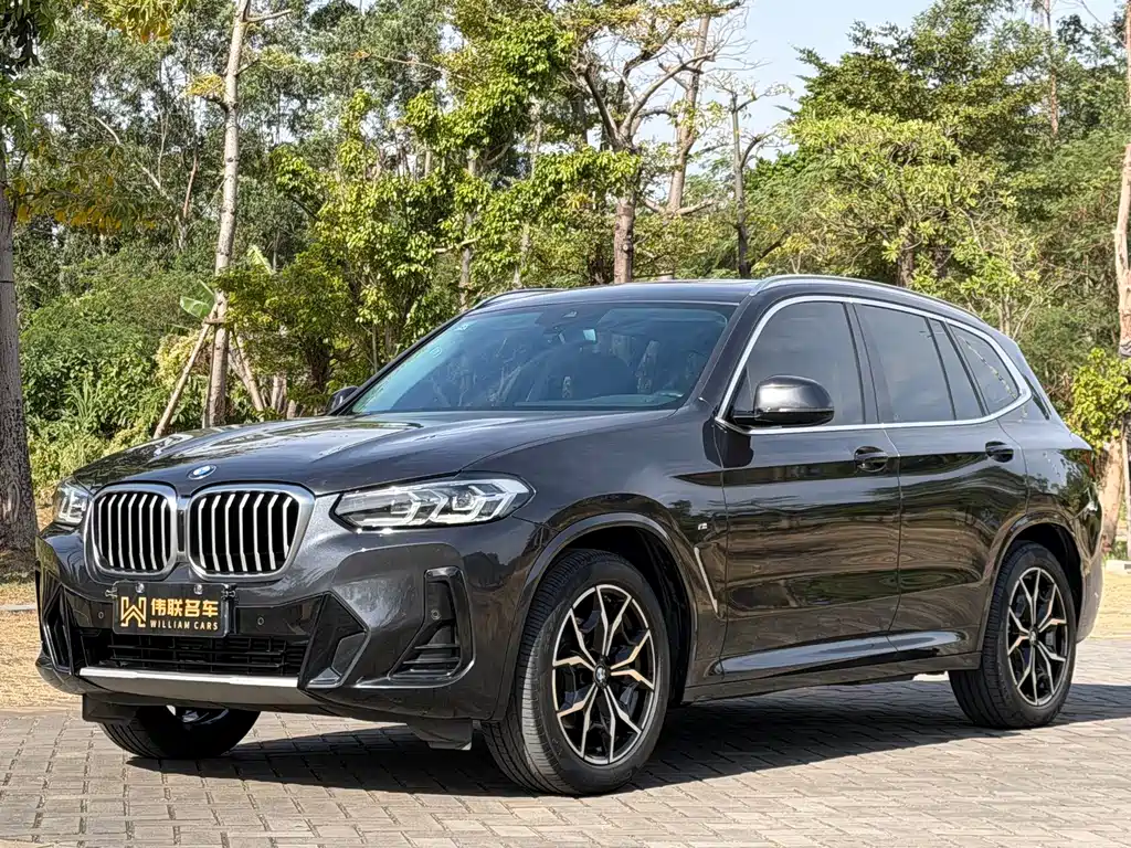 BMW X3 2022 xDrive25i M Sport Package